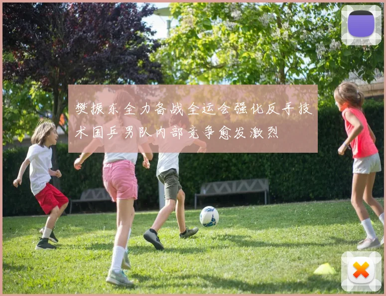 樊振东全力备战全运会强化反手技术国乒男队内部竞争愈发激烈